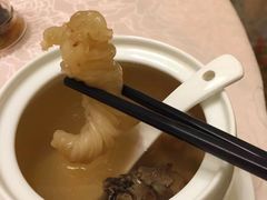 -新光酒家·河豚·海鲜·蟹料理(浦东店)