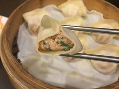 -高雄杨宝宝锅贴