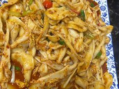 -后卫寨猫耳朵(后卫寨店)