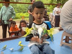 -长白岛森林公园