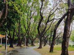 -人民公园(罗湖区)