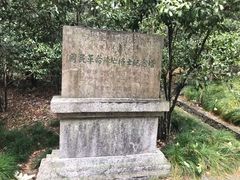 -灵谷景区