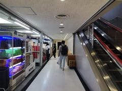-关西机场 JR ticket office(Kansai Airport)