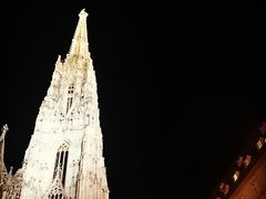 -斯蒂芬主教座堂(Stephansdom)
