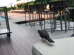 -曼谷铂尔曼皇权酒店