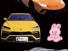 -超跑熊跑车俱乐部