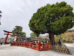 -鹤冈八幡宫