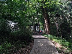 -上海佘山国家森林公园天马山园