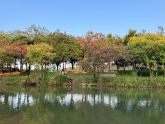 -滴水岩森林公园