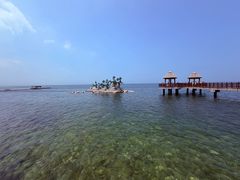 -养马岛旅游度假区