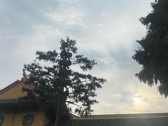 -江心屿景区