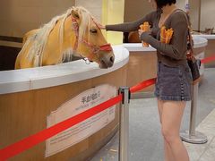 -中国马镇舞马世界主题乐园