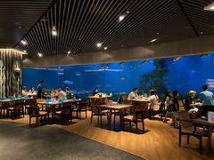 -涛·海底餐厅·美人鱼·自助餐·海底隧道(三亚海棠湾洲际度假酒店)