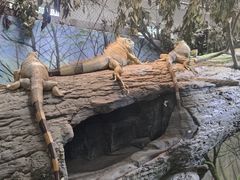 -成都动物园