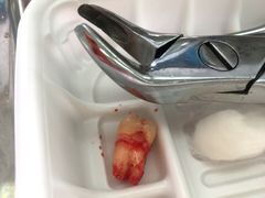 -上海市杨浦区牙病防治所