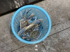 -旺豪海鲜餐厅(友谊阳光城店)