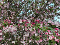 -元大都城垣遗址公园