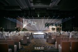 -徐州苏宁银河国际酒店-宴会厅