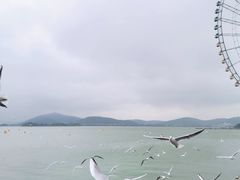 -蠡湖大桥公园