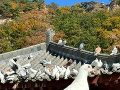 -丹东凤凰山景区