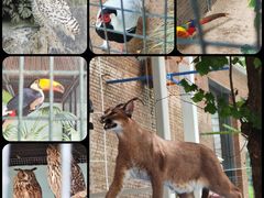 -北京野生动物园