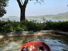 -天目湖涵田半山温泉