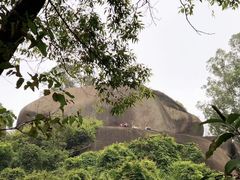 -火炉山森林公园