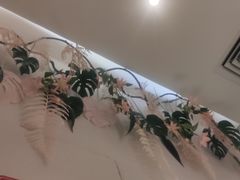 -杯子红牛排(创意产业园店)