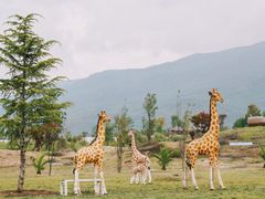景点-丽江植物园