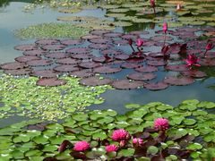 -国家植物园南园