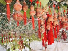 -马陆小张葡萄园农家乐