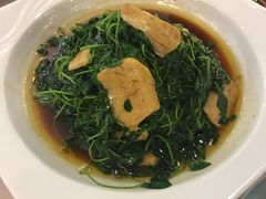 酒香金花菜-松鹤楼(狮山永利广场店)