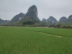 -靖西鹅泉风景区