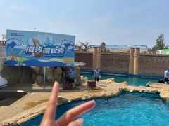 -秦皇岛乐岛海洋王国