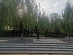 -大兴滨河森林公园