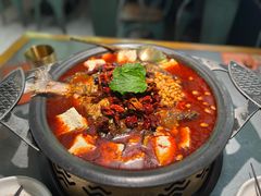 -探鱼·鲜青椒爽麻烤鱼(苏宁广场店)