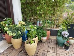 -雅达·阳羡溪山小镇中心