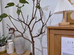 -团子君寿司·茶