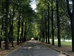 -莫斯科大学