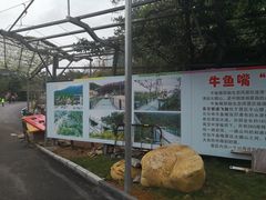 -牛鱼嘴原始生态风景区