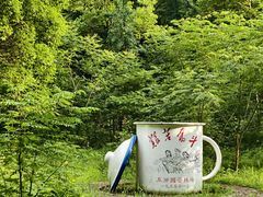-五泄景区