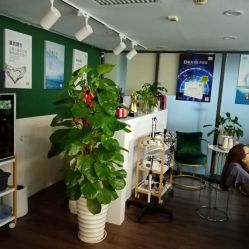 点击看大图 -章光101防脱养发荟