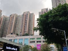 -正宗潮州鱼蛋粉(长寿西路店)