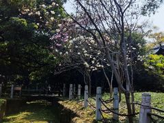 -柳侯公园