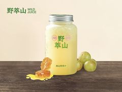-野萃山·潮汕厚果汁(十亩地店)