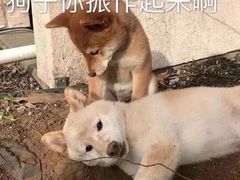 -微笑时刻照相馆·企业合影·商务外拍(北京五道口店)