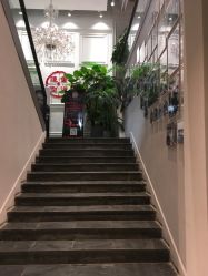 -重道造型