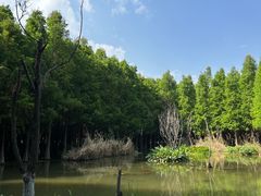 -捞渔河湿地公园