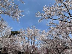 -鸡鸣寺