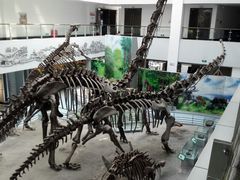 -中国地质大学逸夫博物馆